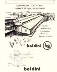 pubblicita_1981